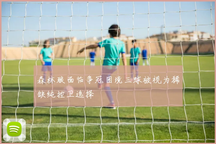 森林狼面临争冠困境三球被视为稀缺纯控卫选择